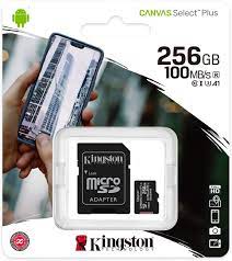 256GB micSDHC Canvas Select Plus 100R A1 C10